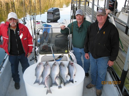 Nice Striped Bass
